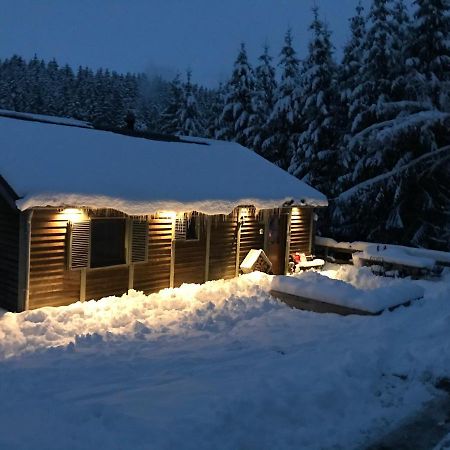 Chalet Le Grand Cerf Бюллинген Экстерьер фото