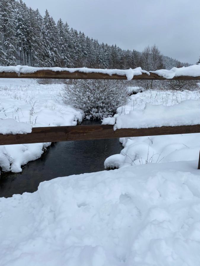 Chalet Le Grand Cerf Бюллинген Экстерьер фото