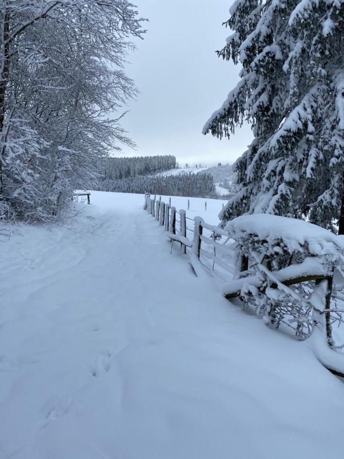 Chalet Le Grand Cerf Бюллинген Экстерьер фото