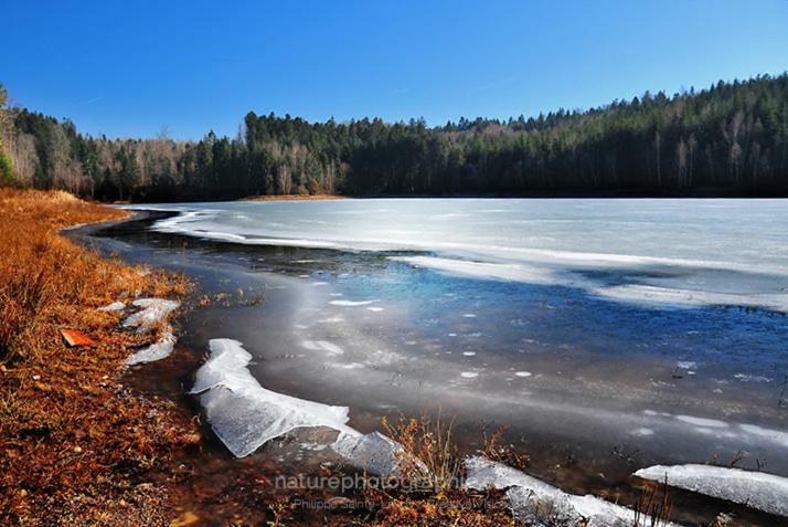 Chalet Le Grand Cerf Бюллинген Экстерьер фото